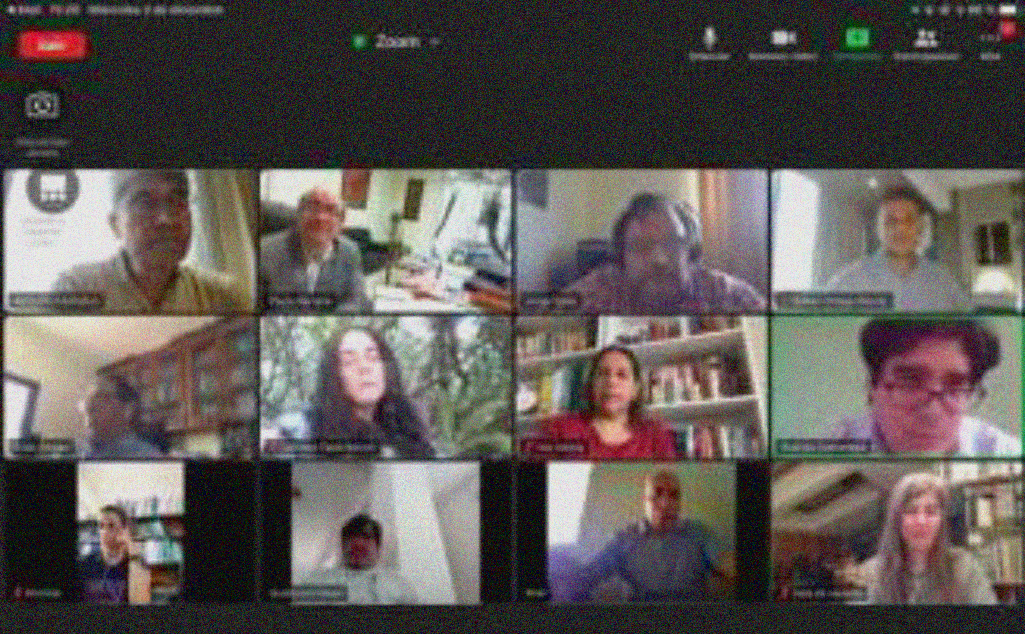 Instantánea de la reunión online Instantánea de la reunión online