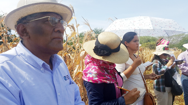 Recorrido de Campo con estudiantes y productores para el proyecto Recorrido de Campo con estudiantes y productores para el proyecto