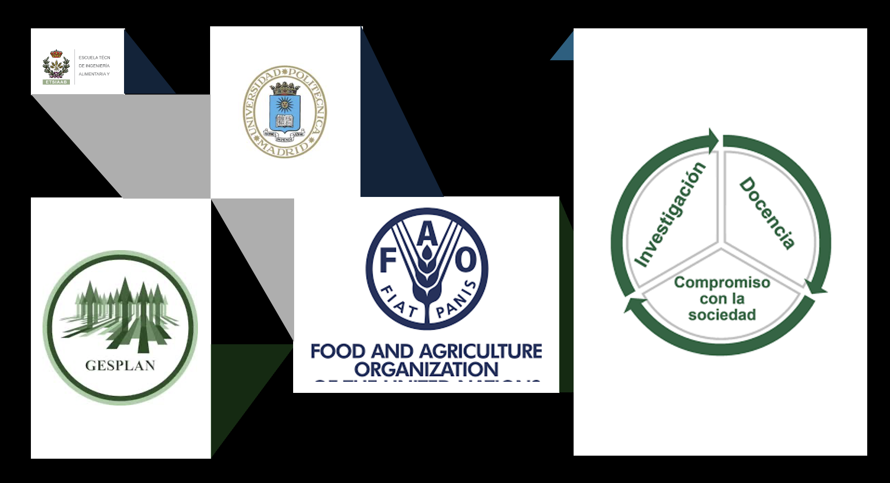 2024-06-08-fao_2.png