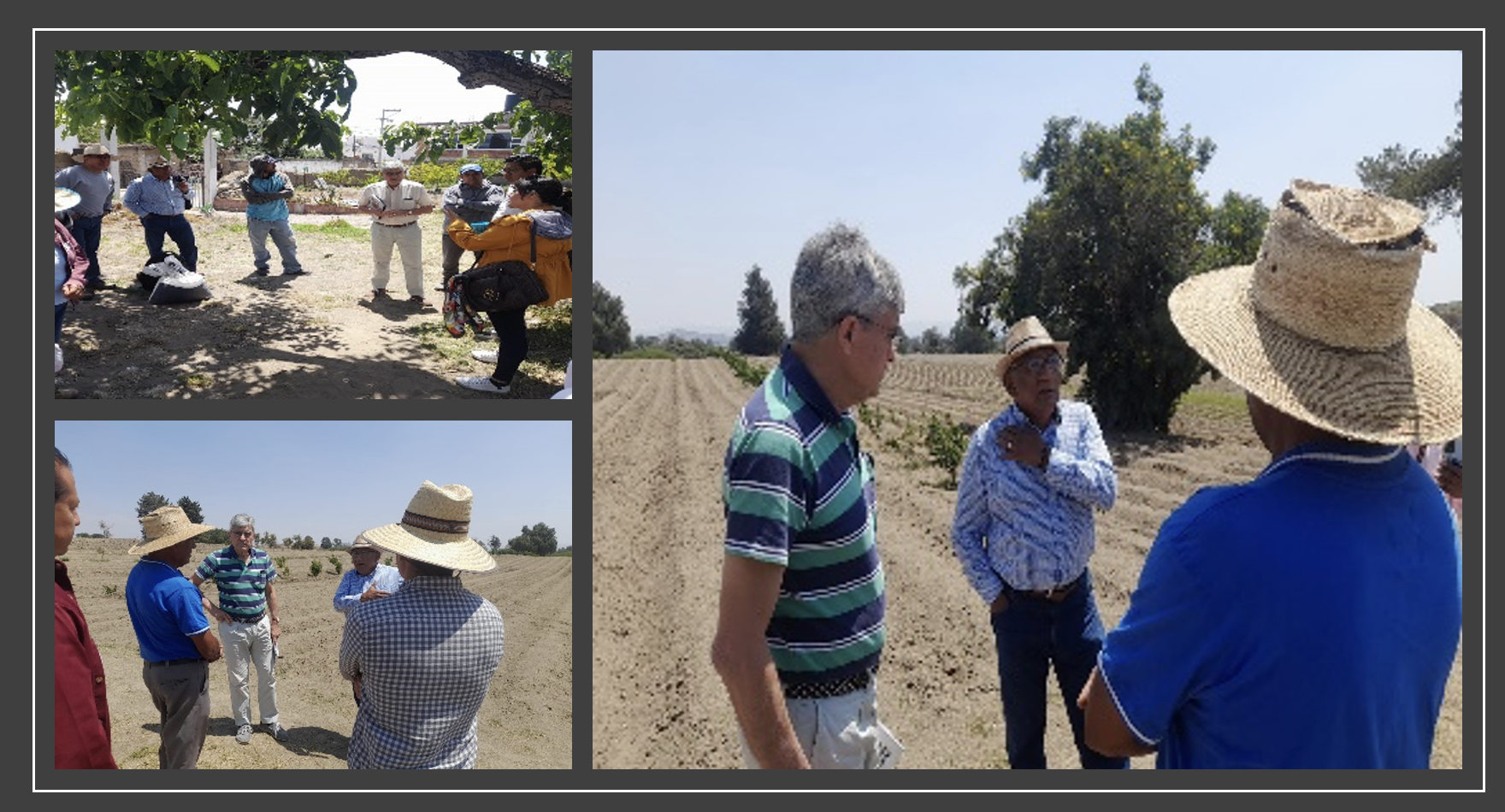 Recorrido de campo por el territorio Izta-popo ámbito de intervención y de aplicación de los PIRA. Recorrido de campo por el territorio Izta-popo ámbito de intervención y de aplicación de los PIRA.